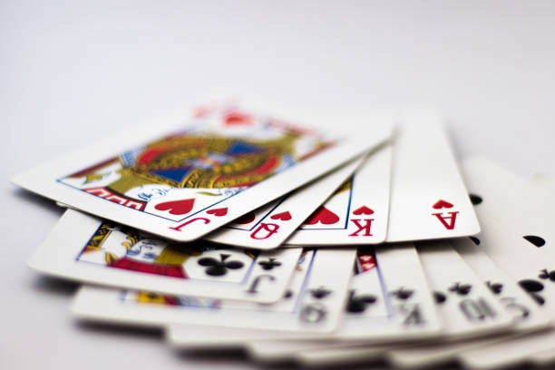 Wolf Gold betting interface showing table limits, active players, and real-time chat